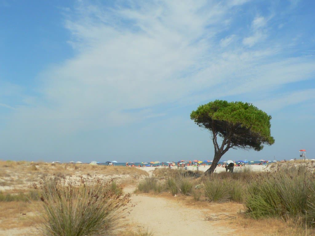 Spiaggia La Caletta - Siniscola - Vacanze in Sardegna