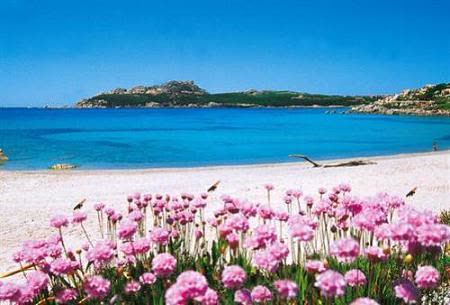 Primavera, pronti al risveglio !!! Voglia di stare all'aria aperta e divertirsi.