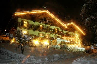 Val di Fiemme Residence Mich - Foto 4