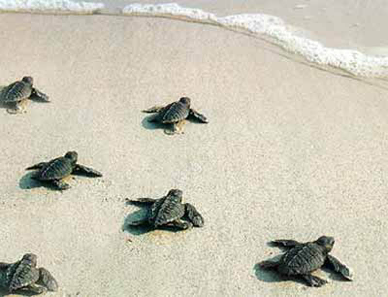 Foto 9