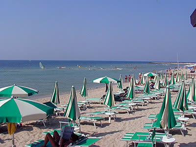 Main view