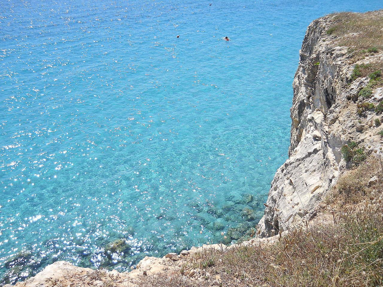 Gallery view 1