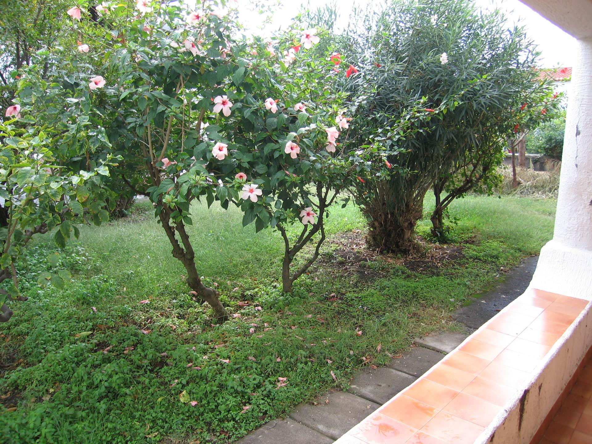 Gallery view 1