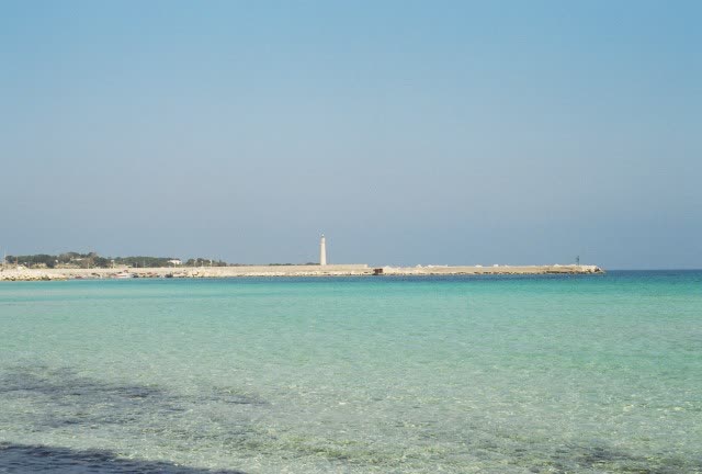Main view