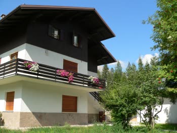 Gallery view 1