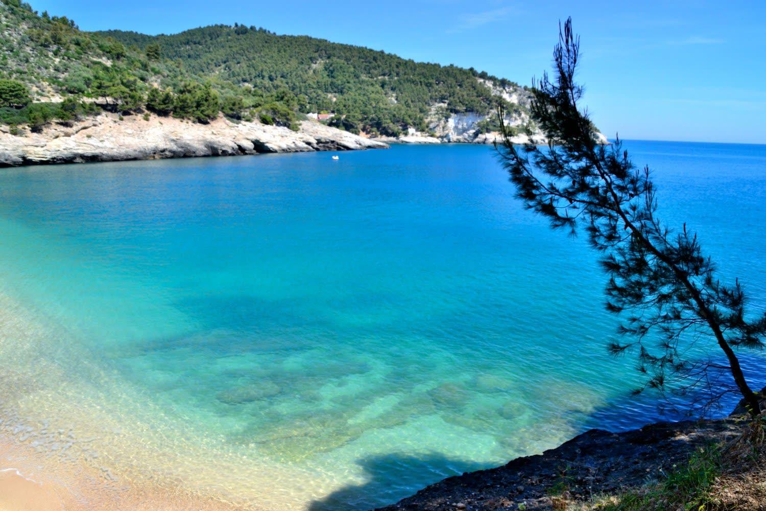 Vieste Pugnochiuso Resort