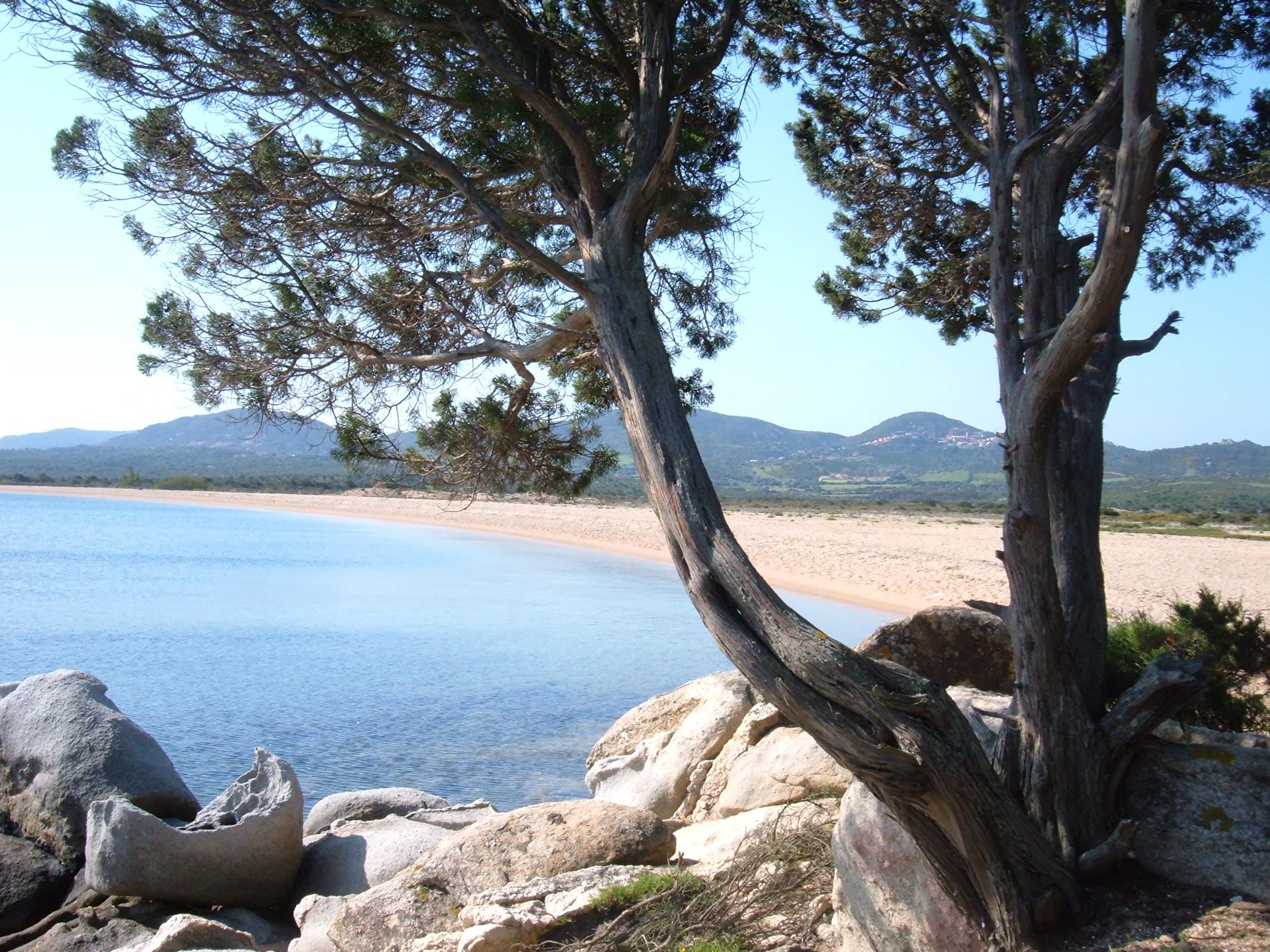 Residenza Zodiaco Santa Teresa Gallura - Foto 9