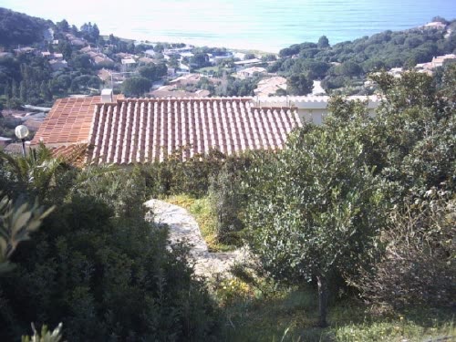 Gallery view 1