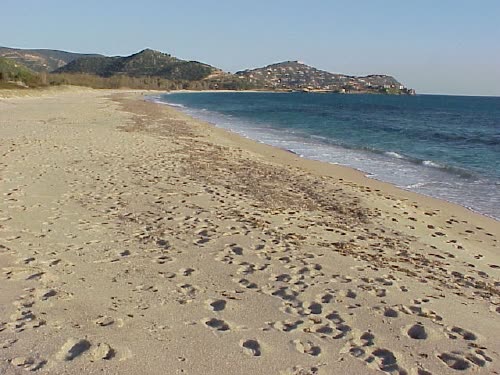 Main view