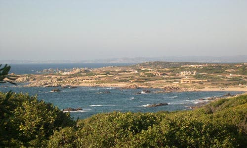 Main view