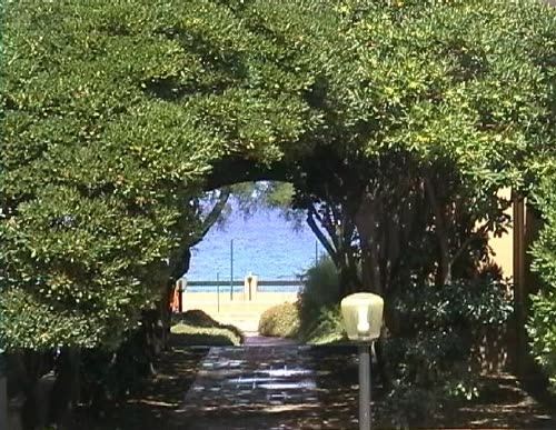 View 11