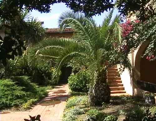 View 10