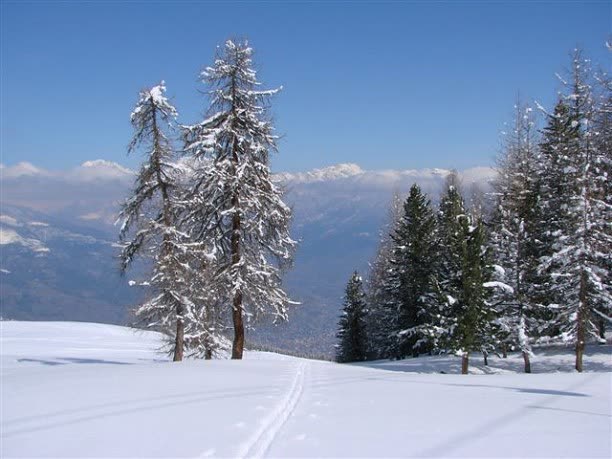 View 8