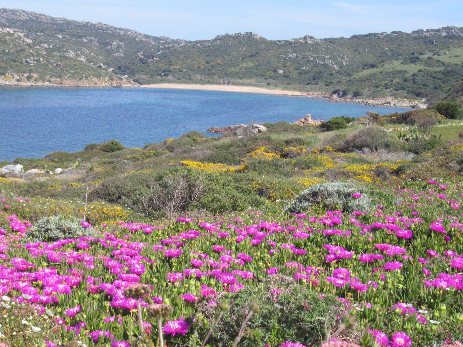 Porto Quadro Case Vacanze Santa Teresa Gallura - Foto 10