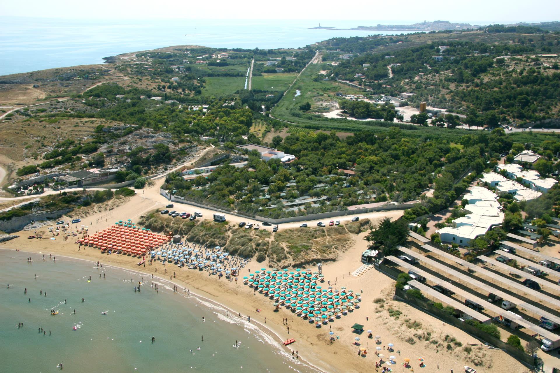 Main view