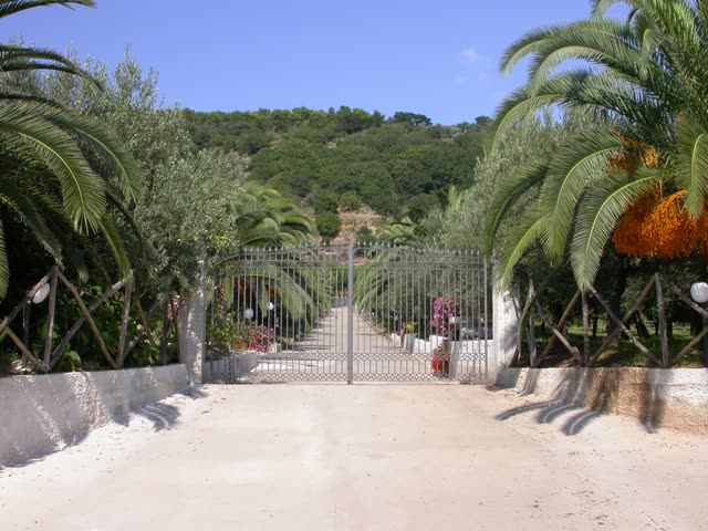 Gallery view 2