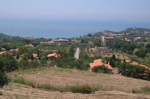 Gallery view 1