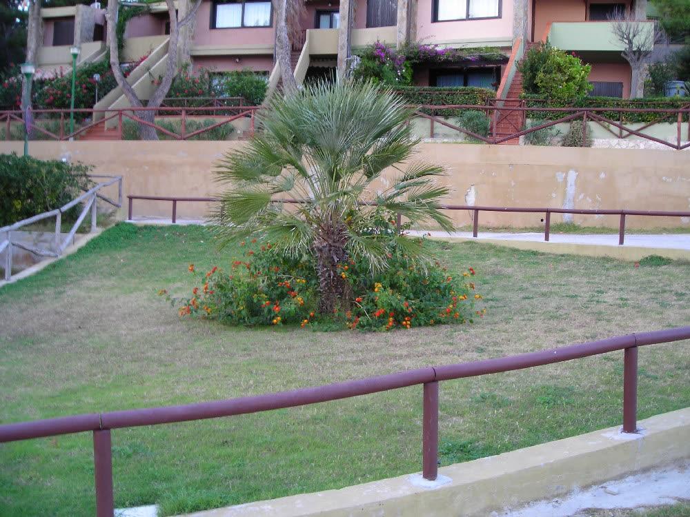 Gallery view 1