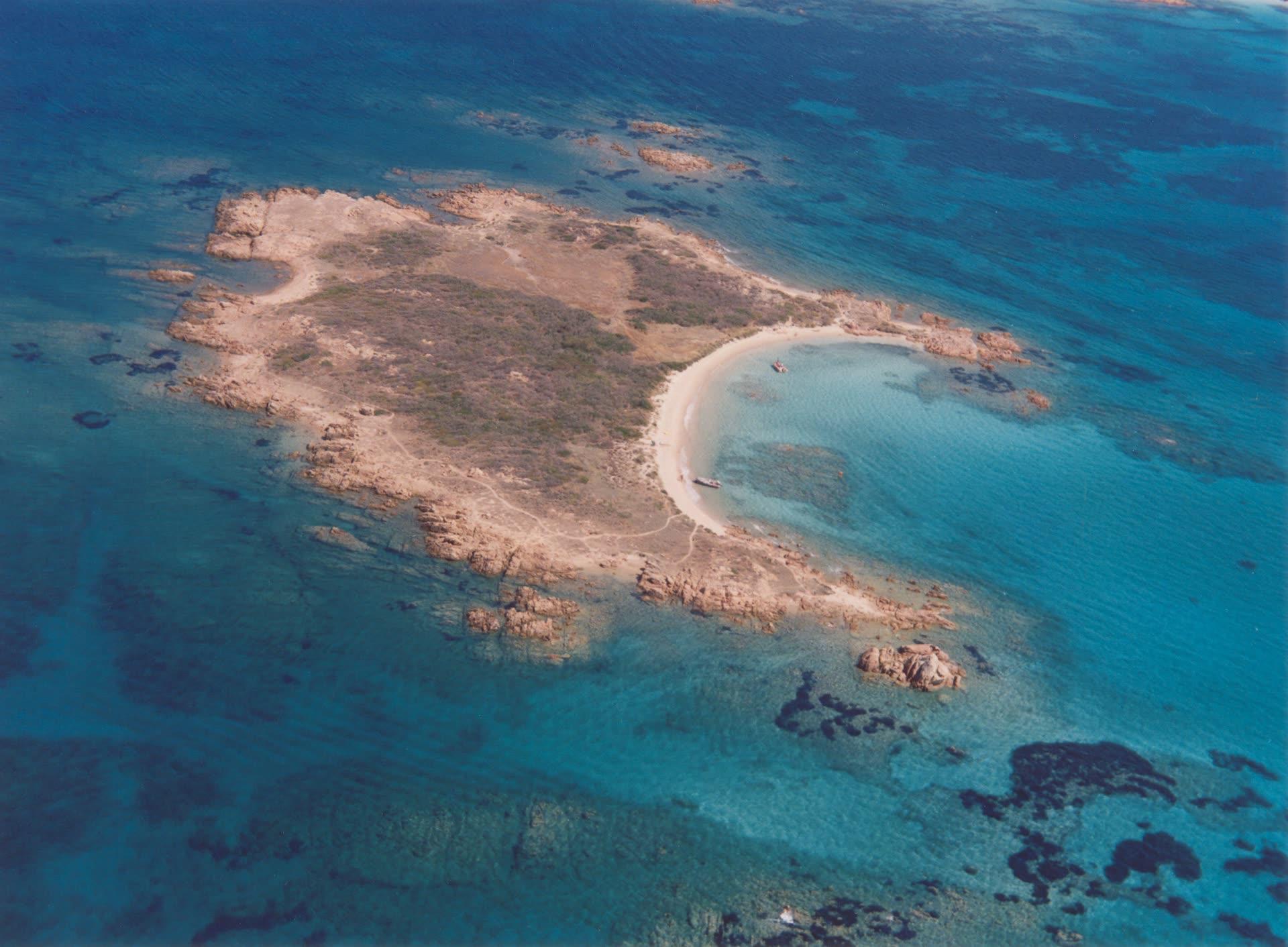 Gallery view 4