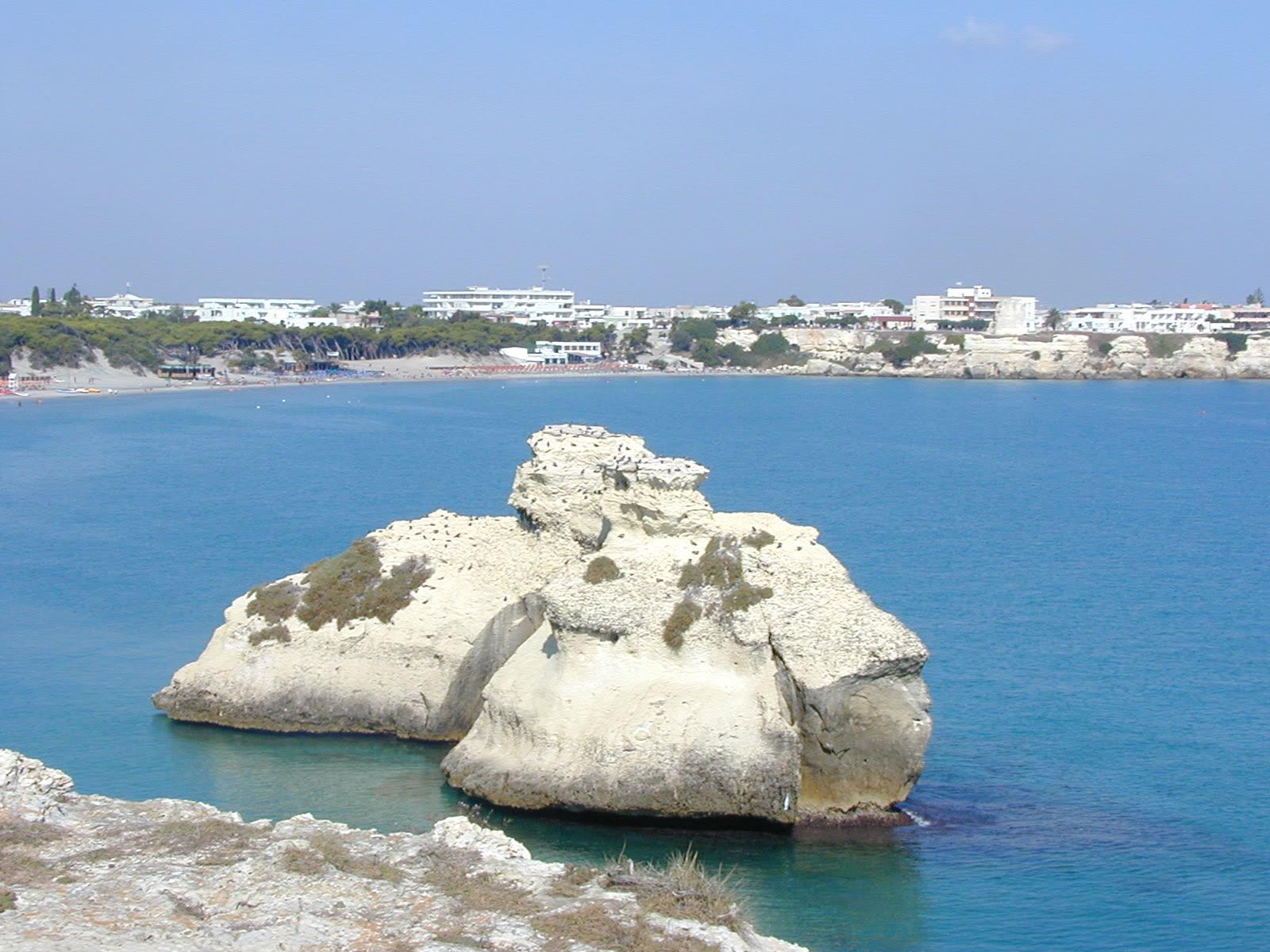 Main view